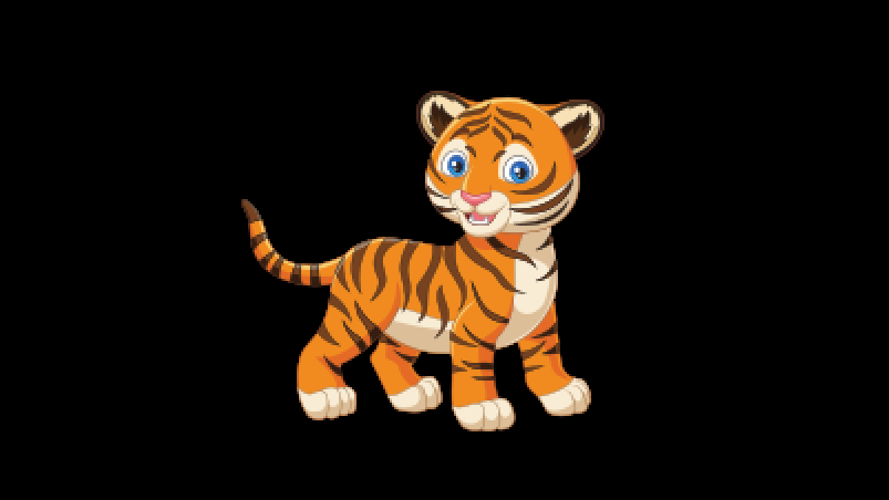 Tiger Shine Car Wash