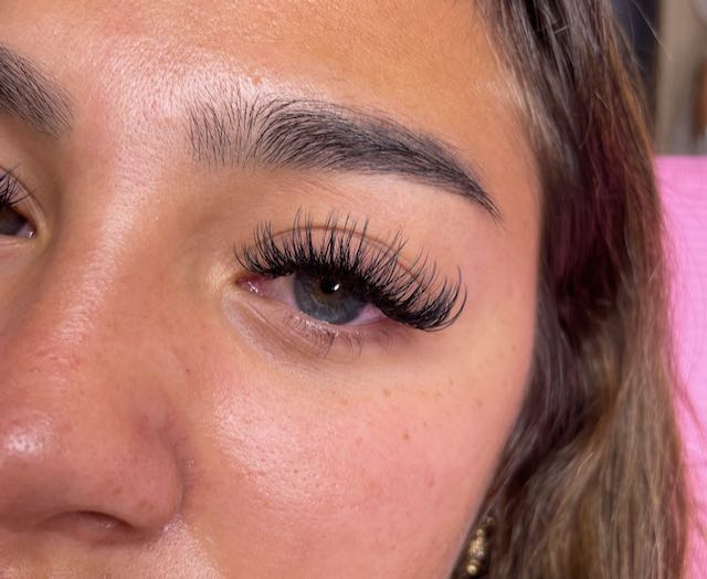Snatched Lash